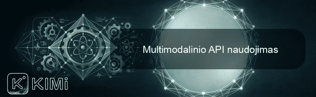 Multimodalinio API naudojimas
