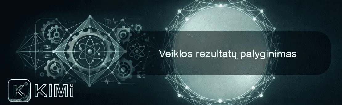 Veiklos rezultatų palyginimas