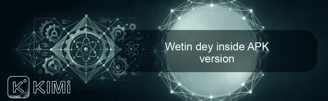 Wetin dey inside APK version